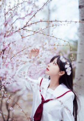亚洲卡通动漫在线观看_DVD电影完整版在线观看